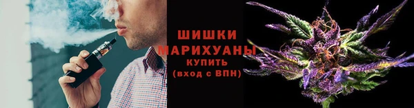 PSILOCYBIN Алексеевка