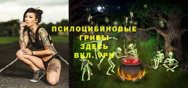 мескалин Алексин
